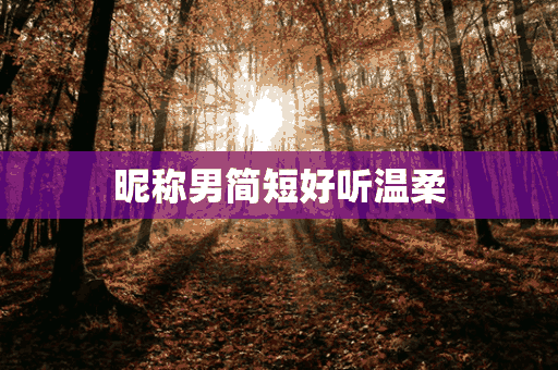 昵称男简短好听温柔(昵称男简短好听温柔两个字)